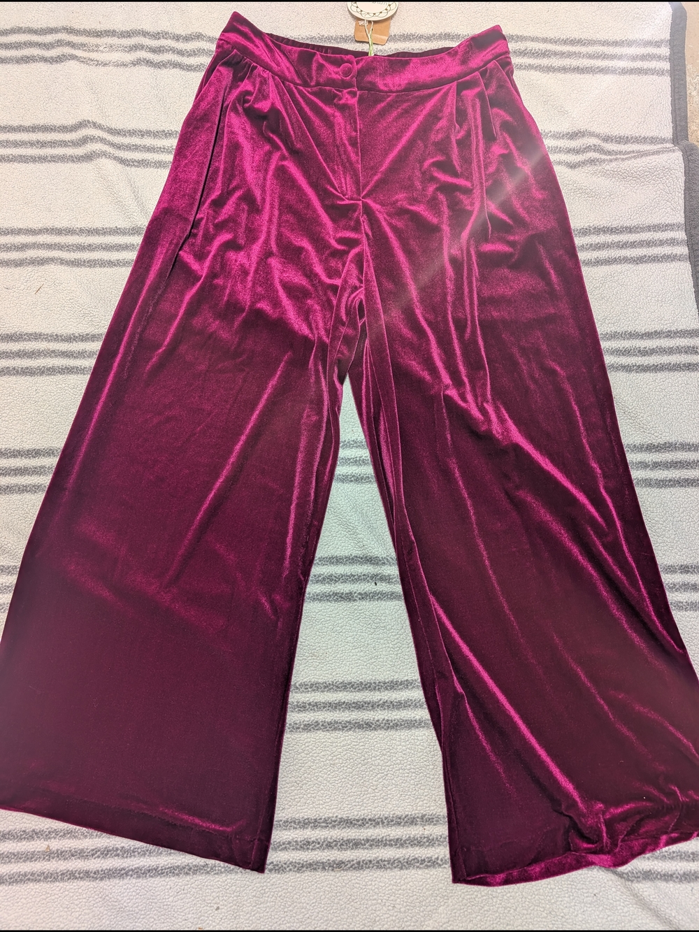 Umgee Velvet Wide-Leg Pants in Deep Wine